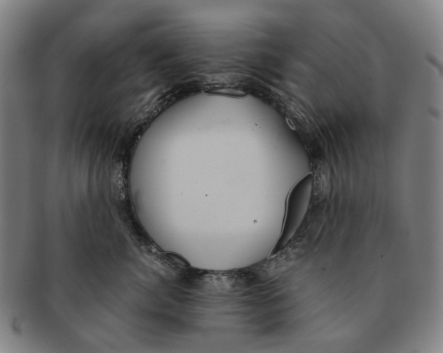 X0000090990764200708301312