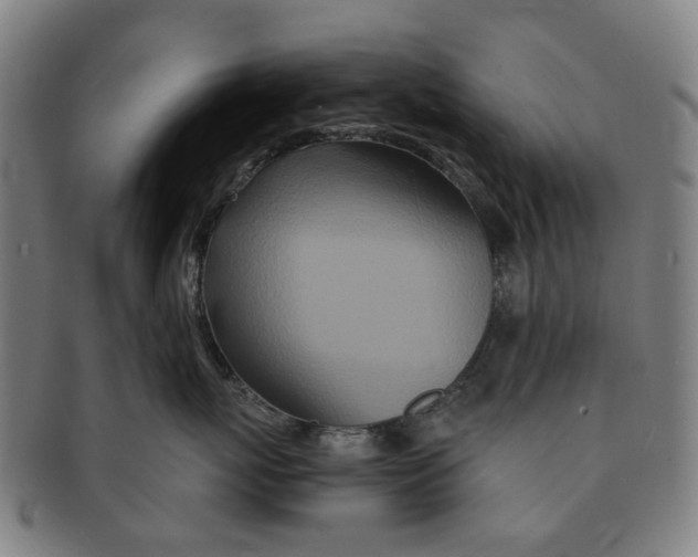 X0000090990767200708301312