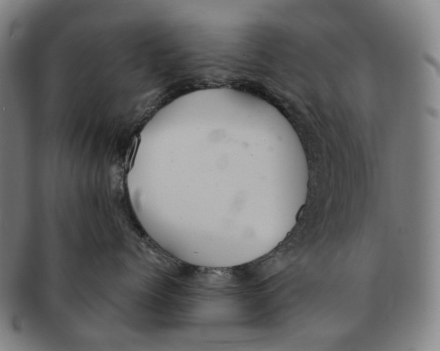 X0000090990768200708301312