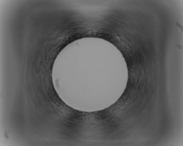 X0000090990769200708301311