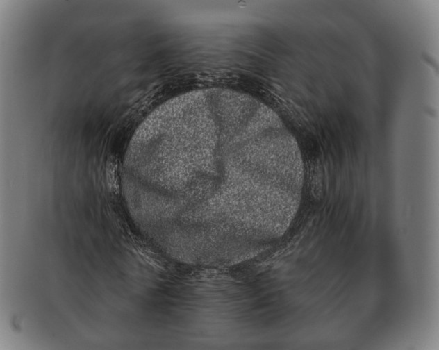 X0000090990770200708301311