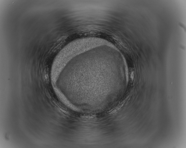 X0000090990771200708301311