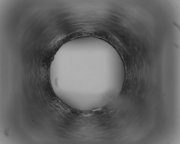 X0000090990773200708301311