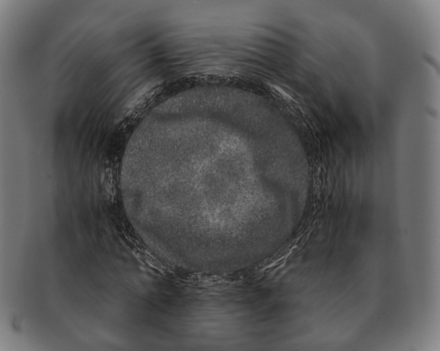 X0000090990774200708301311