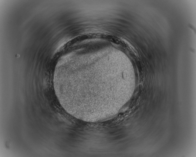 X0000090990775200708301311