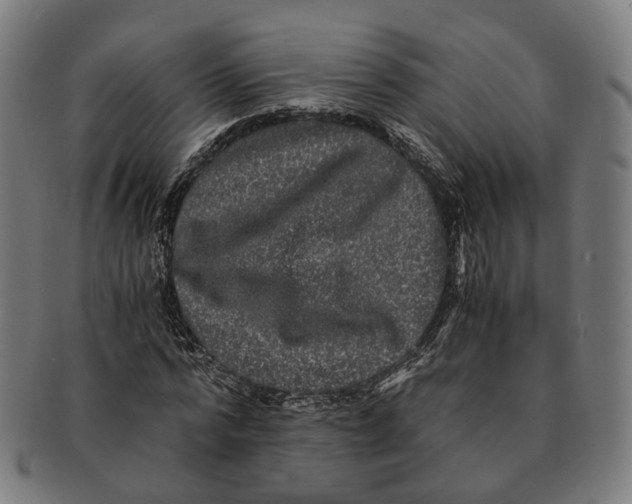 X0000090990776200708301311