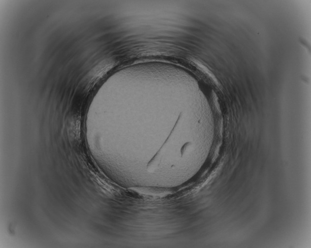 X0000090990777200708301311