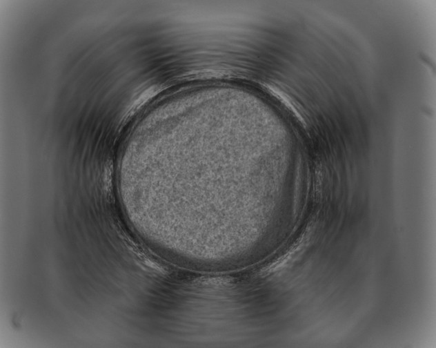 X0000090990778200708301311