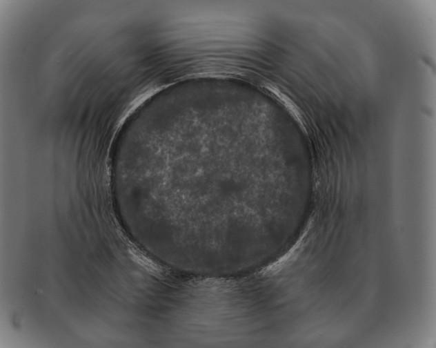 X0000090990779200708301311