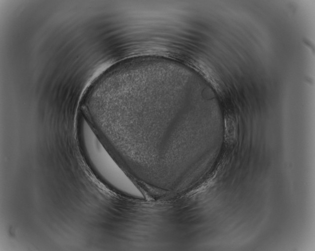 X0000090990780200708301311