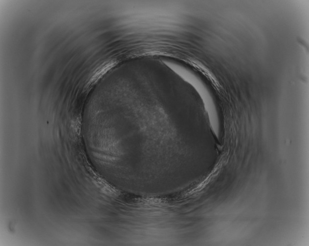 X0000090990785200708301311