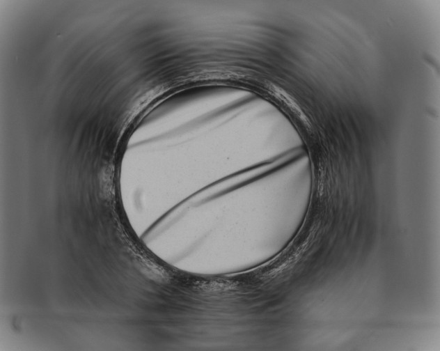 X0000090990786200708301311