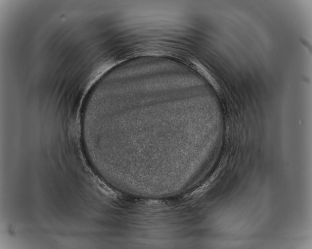 X0000090990787200708301311