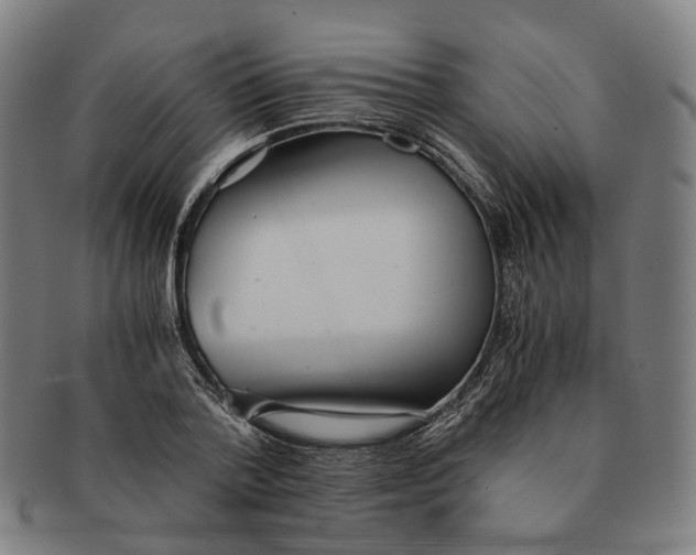 X0000090990788200708301311