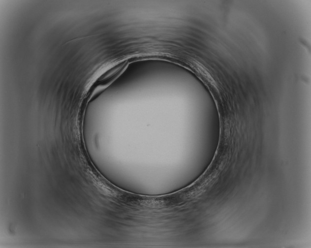 X0000090990789200708301311