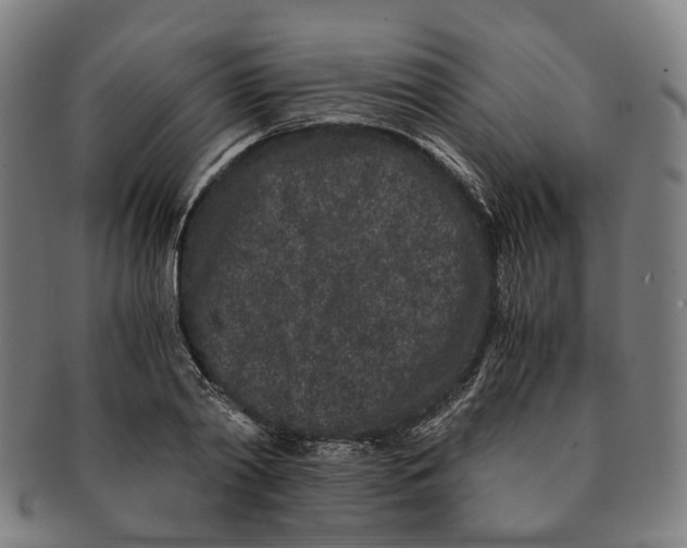 X0000090990790200708301311