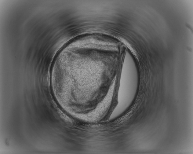 X0000090990791200708301311