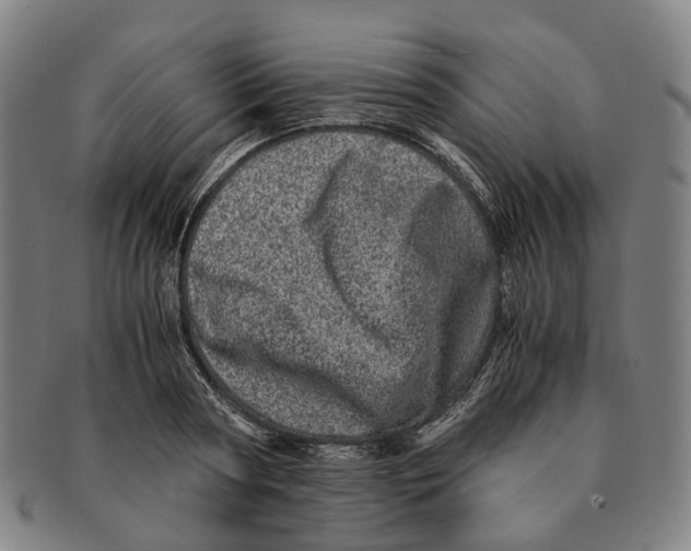 X0000090990794200708301311