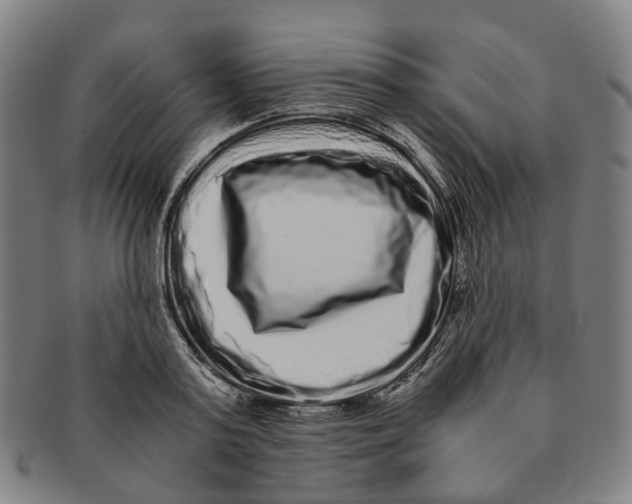 X0000090990795200708301311