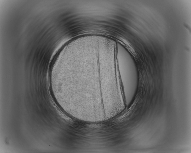 X0000090990796200708301311