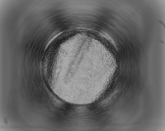 X0000090990798200708301311