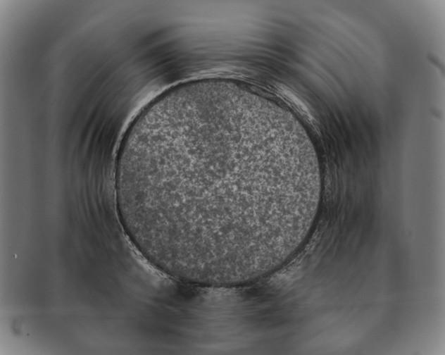 X0000090990800200708301311