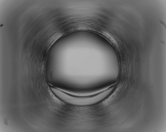 X0000090990801200708301311