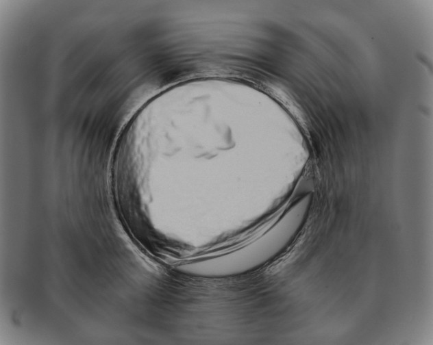 X0000090990803200708301311