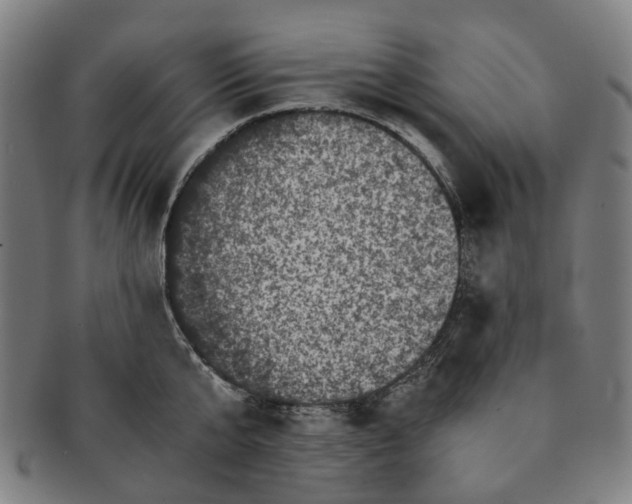 X0000090990807200708301311