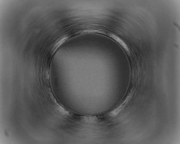 X0000090990809200708301311