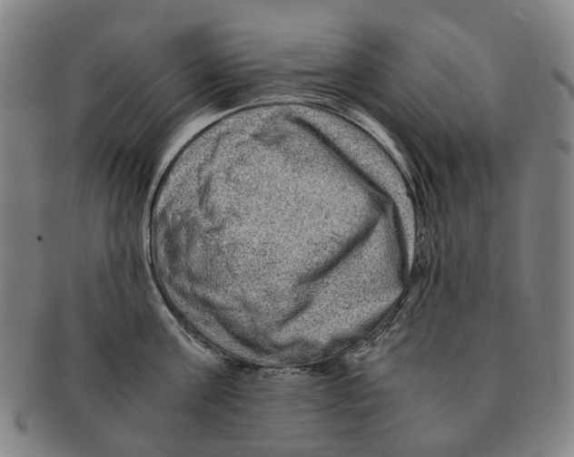 X0000090990811200708301311