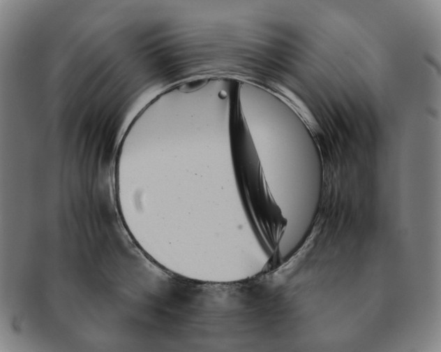 X0000090990812200708301311