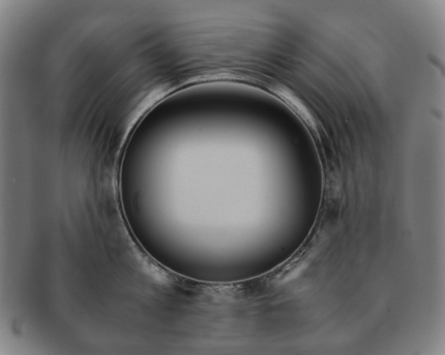 X0000090990813200708301311