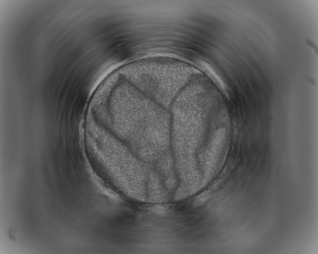 X0000090990814200708301311