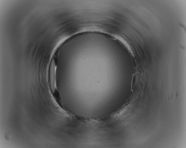 X0000090990815200708301311