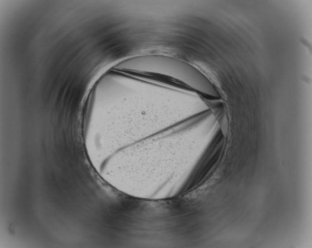 X0000090990816200708301310