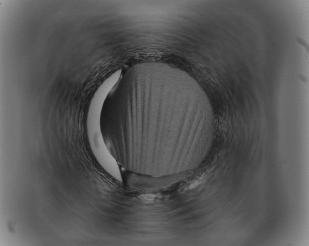 X0000090990818200708301310