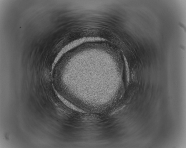 X0000090990819200708301310