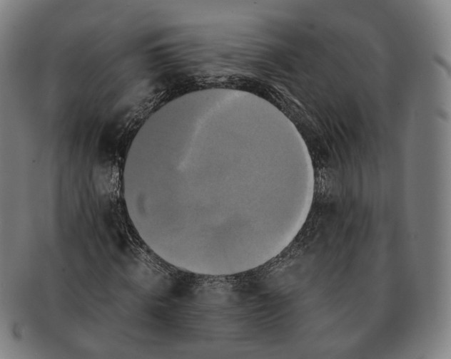 X0000090990820200708301310