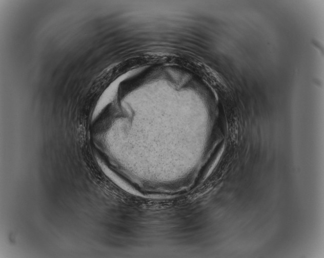 X0000090990821200708301310