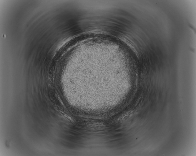 X0000090990823200708301310