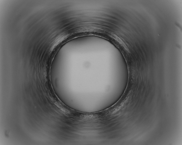 X0000090990826200708301310