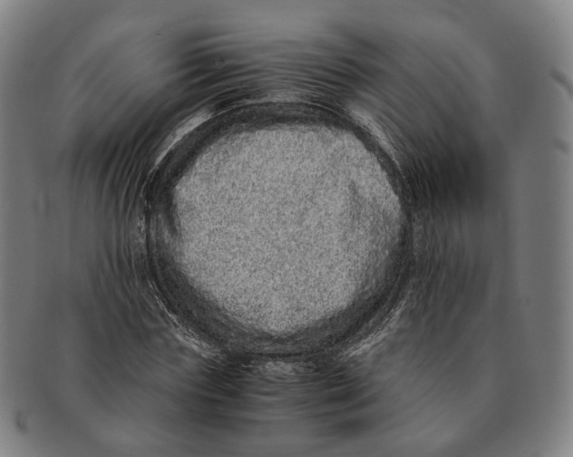 X0000090990827200708301310