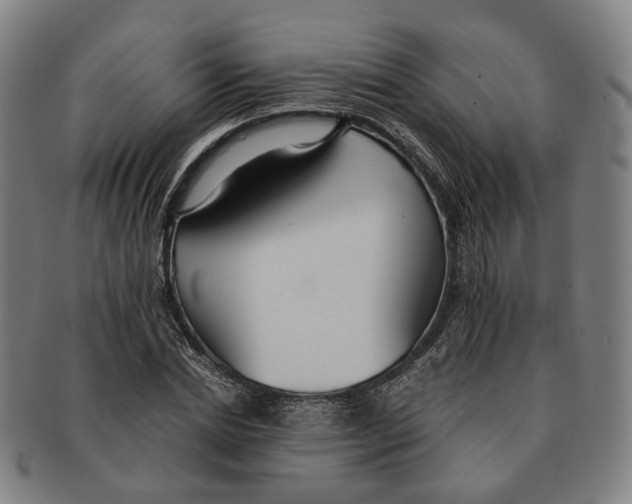 X0000090990830200708301310