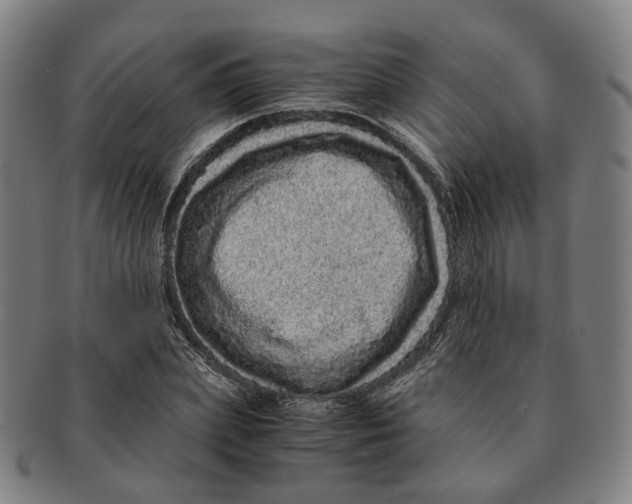 X0000090990831200708301310