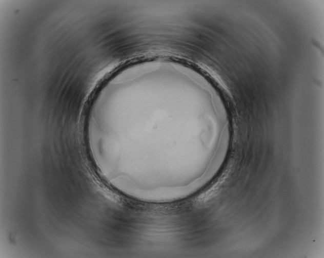 X0000090990832200708301310