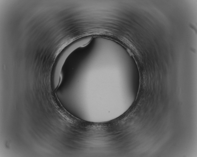 X0000090990834200708301310