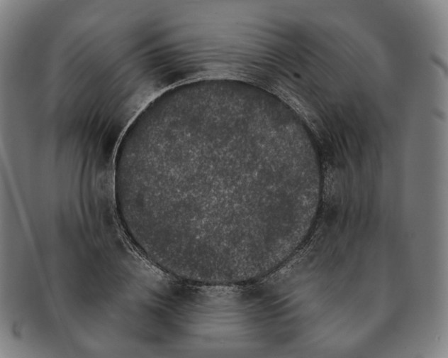 X0000090990836200708301310