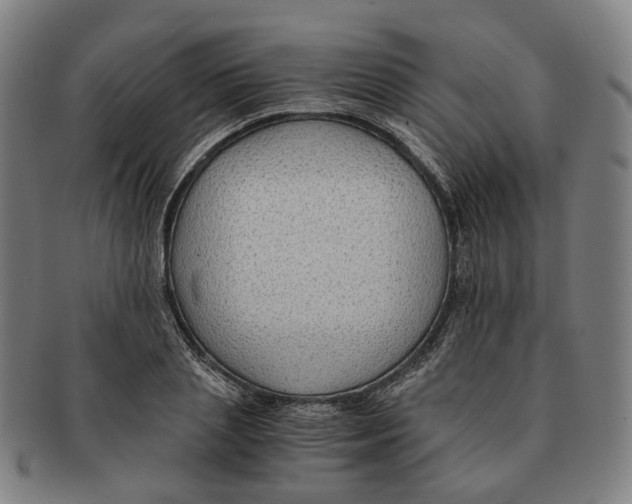 X0000090990837200708301310