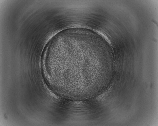 X0000090990839200708301310